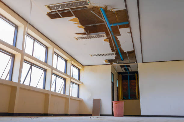  Homer City, PA Water damage restoration Pros