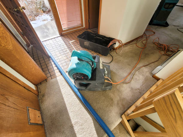 Best Professional water damage repair  in Homer City, PA