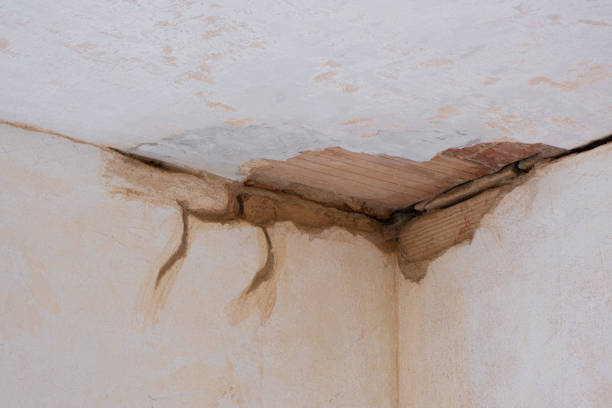 Best 24/7 water damage repair  in Homer City, PA