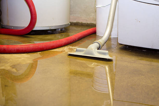 Best Flood restoration services  in Homer City, PA