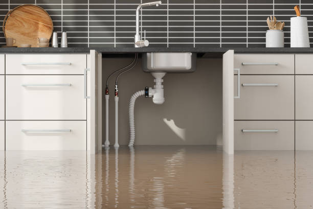 Best Flood damage cleanup  in Homer City, PA