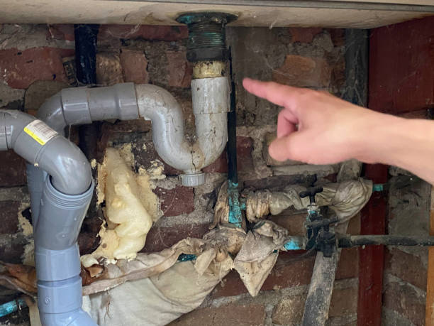 Trusted Homer City, PA Water damage restoration Experts