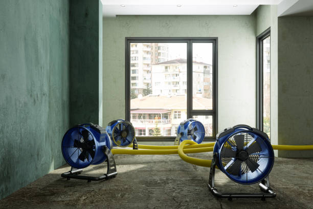 Best Carpet water damage restoration  in Homer City, PA