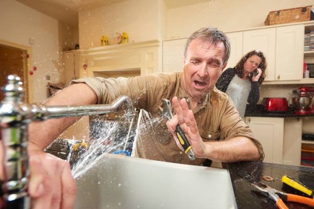 Best Basement water damage restoration  in Homer City, PA